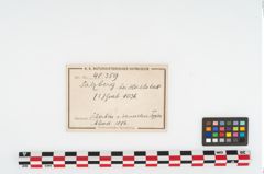 Foto von Keramikgefäß (NHMW-PRAE-048359)